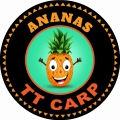 TT-carp-naklejka-ananas.jpg