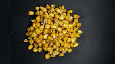 KUKURYDZA gotowe ziarna 1,0 kg