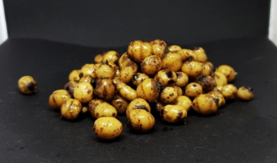 ORZECH TYGRYSI  gotowe ziarna 1,0 kg