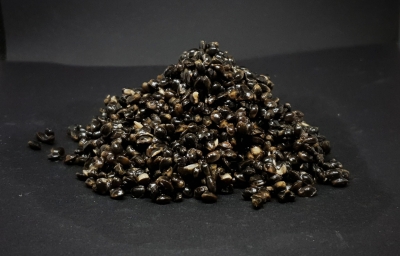 KONOPIE gotowe ziarna 1,0 kg